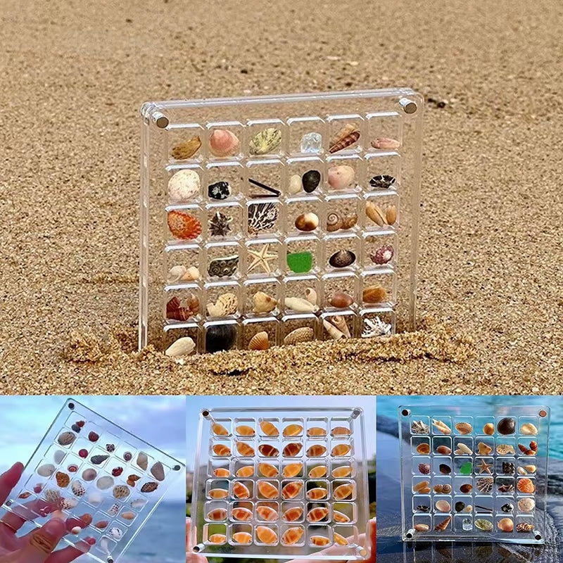 Stylish Acrylic Seashell Display Box with Magnets – Perfect Storage for Jewelry, Beads, and More!