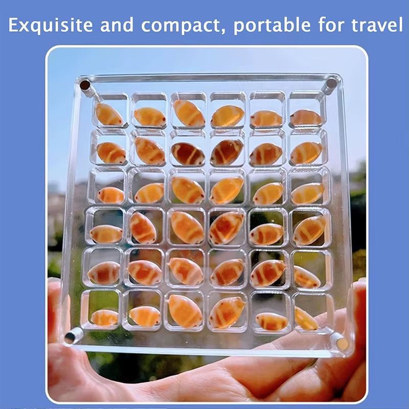 Stylish Acrylic Seashell Display Box with Magnets – Perfect Storage for Jewelry, Beads, and More!